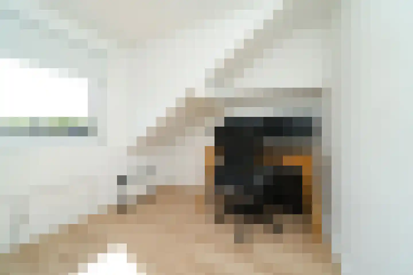 C.D.Tuinenburgstraat 93 Rotterdam thumbnail 24