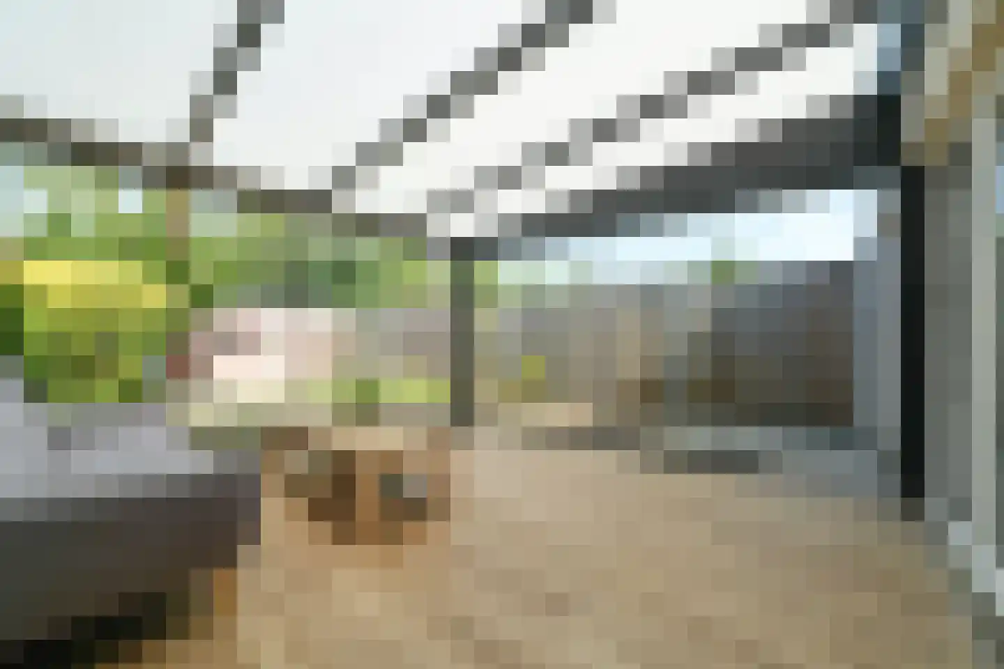 C.D.Tuinenburgstraat 93 Rotterdam thumbnail 4