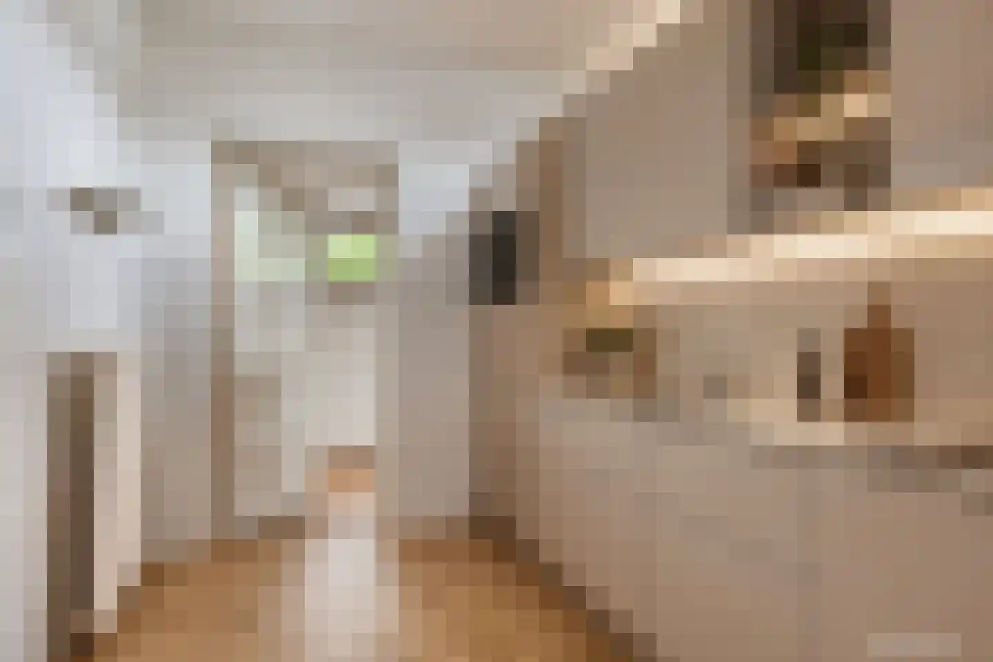 C de Houtmanstraat 6 Zuidhorn thumbnail 21