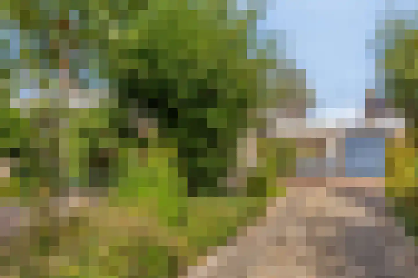 C de Houtmanstraat 6 Zuidhorn thumbnail 7