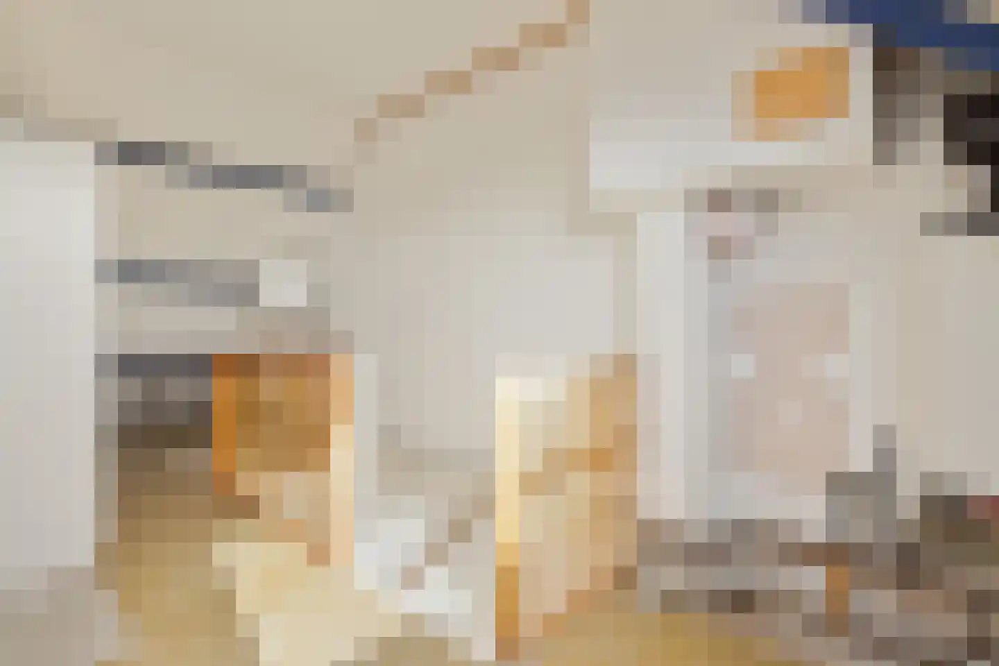 C. de Jongestraat 26 Purmerend thumbnail 20