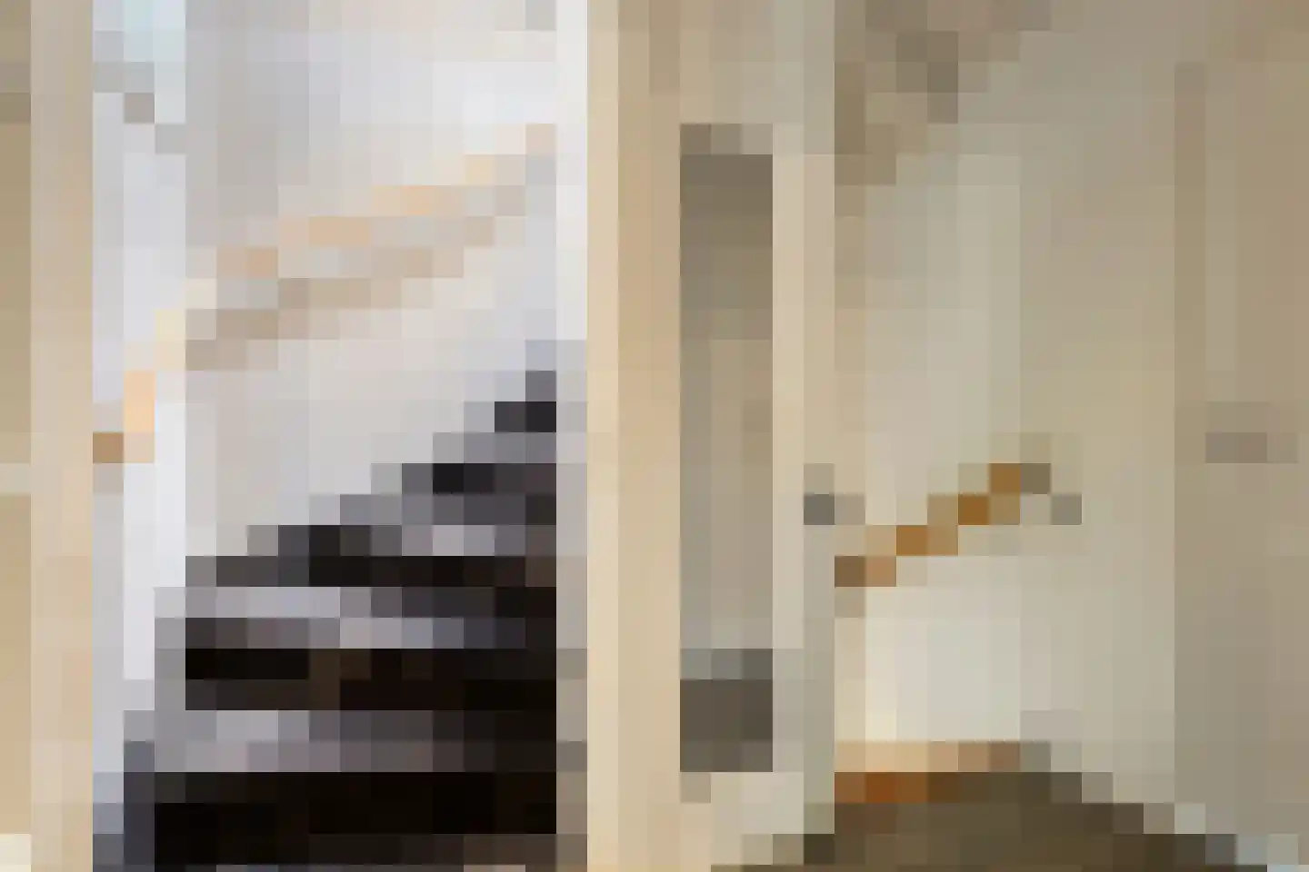 C. de Jongestraat 54 Purmerend thumbnail 20