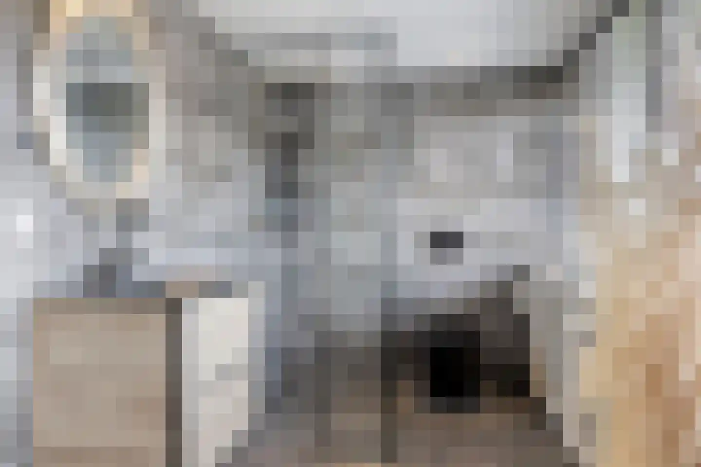 C. de Jongestraat 54 Purmerend thumbnail 6