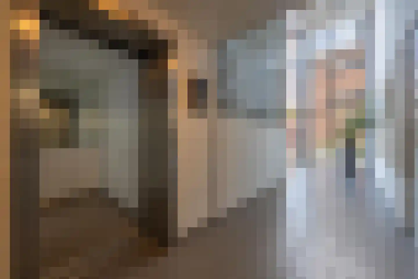 C. de Kleijnstraat 32 Tiel thumbnail 14