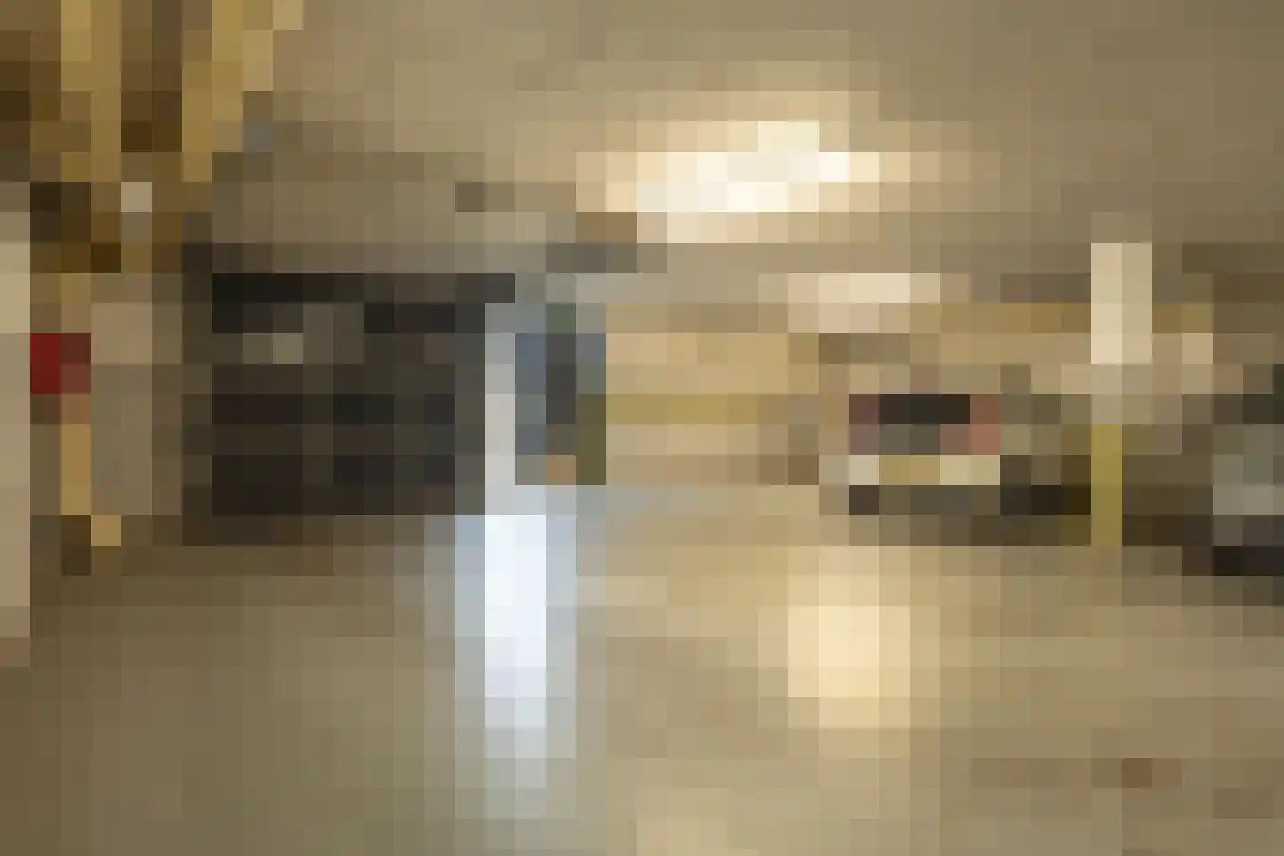 C. de Kleijnstraat 32 Tiel thumbnail 45
