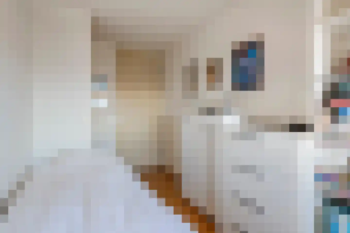 C. de Kleijnstraat 42 Tiel thumbnail 18