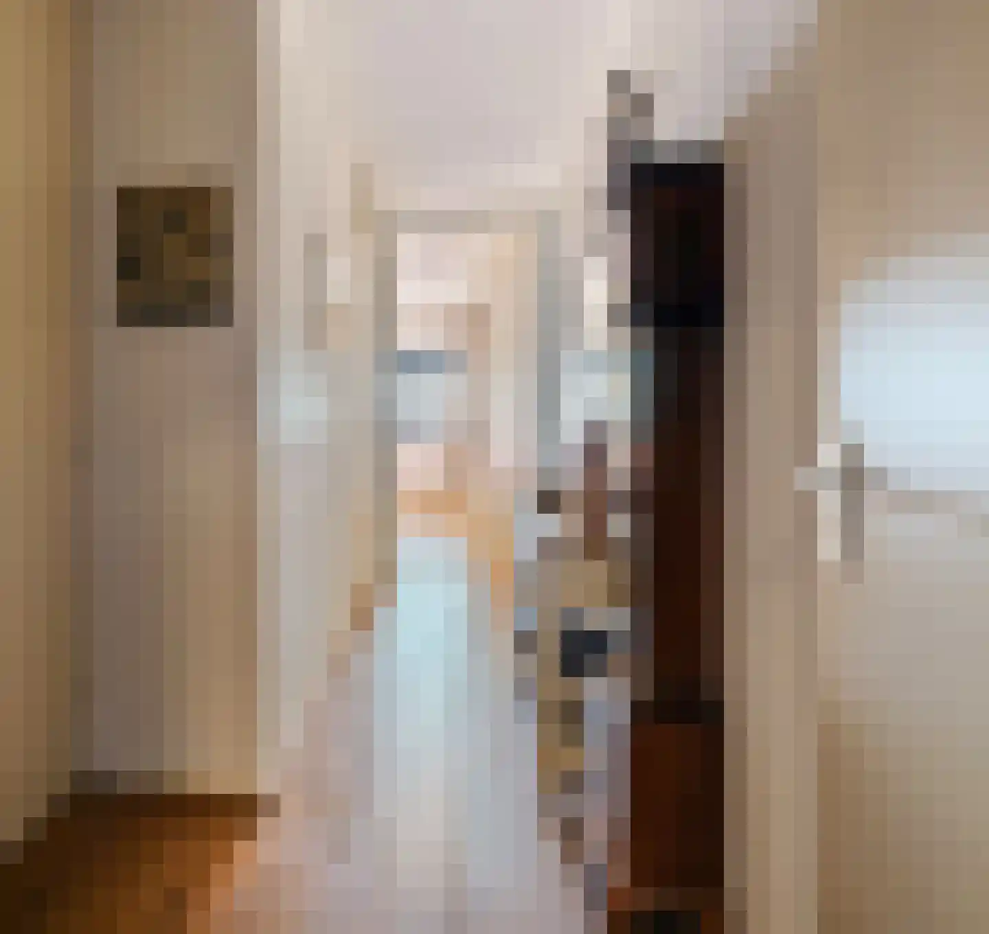 C. de Kleijnstraat 42 Tiel thumbnail 8