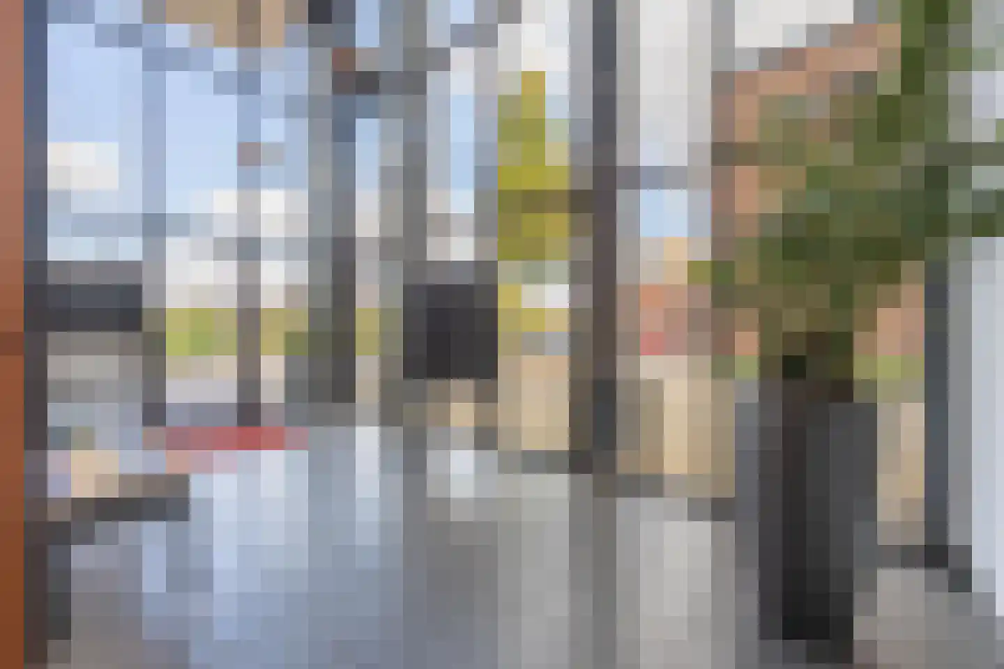 C. de Kleijnstraat 60 Tiel thumbnail 19