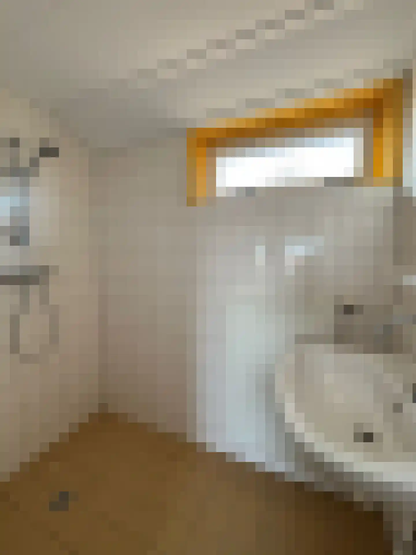 C. de Leeuwstraat 5 't Zand thumbnail 19