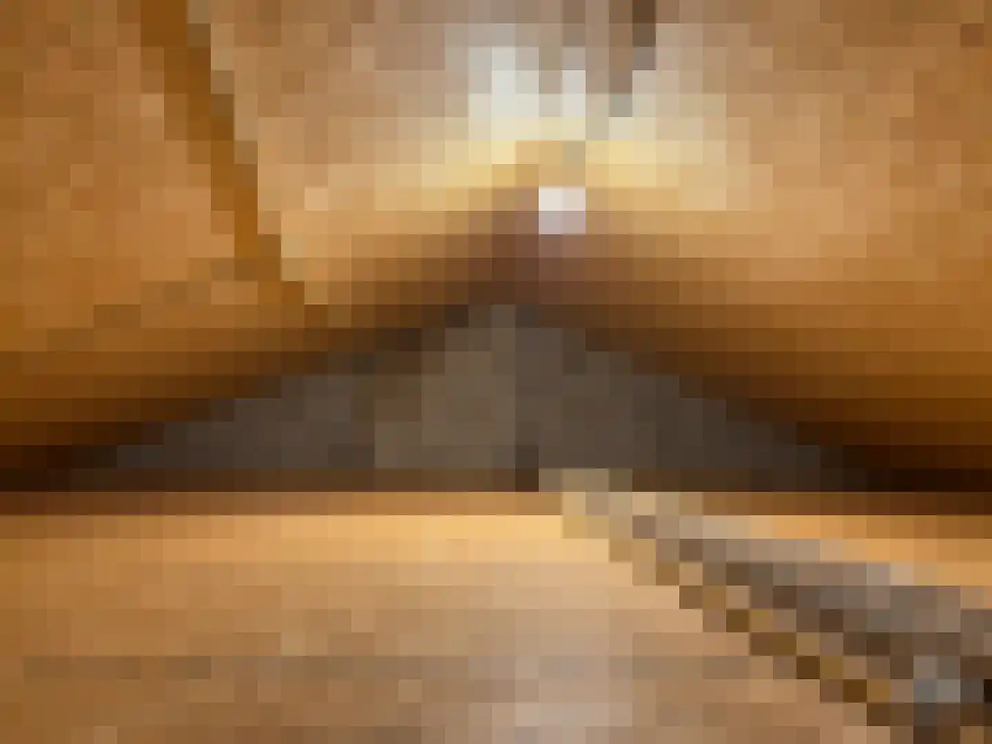 C. de Leeuwstraat 5 't Zand thumbnail 24