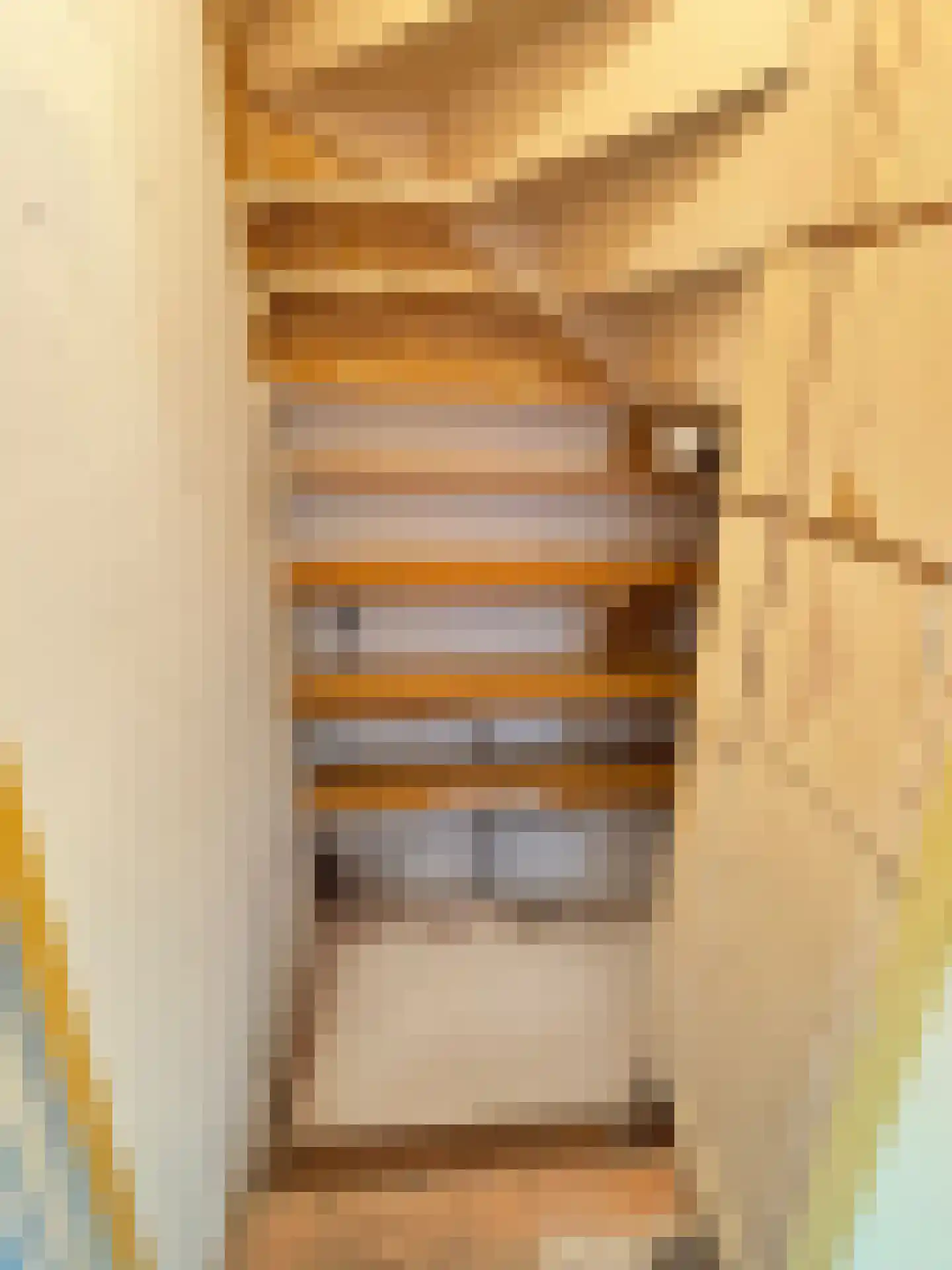 C. de Leeuwstraat 5 't Zand thumbnail 6