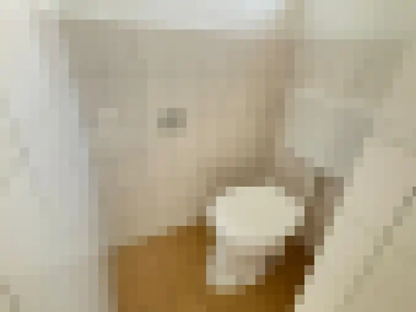 C. de Leeuwstraat 5 't Zand thumbnail 7