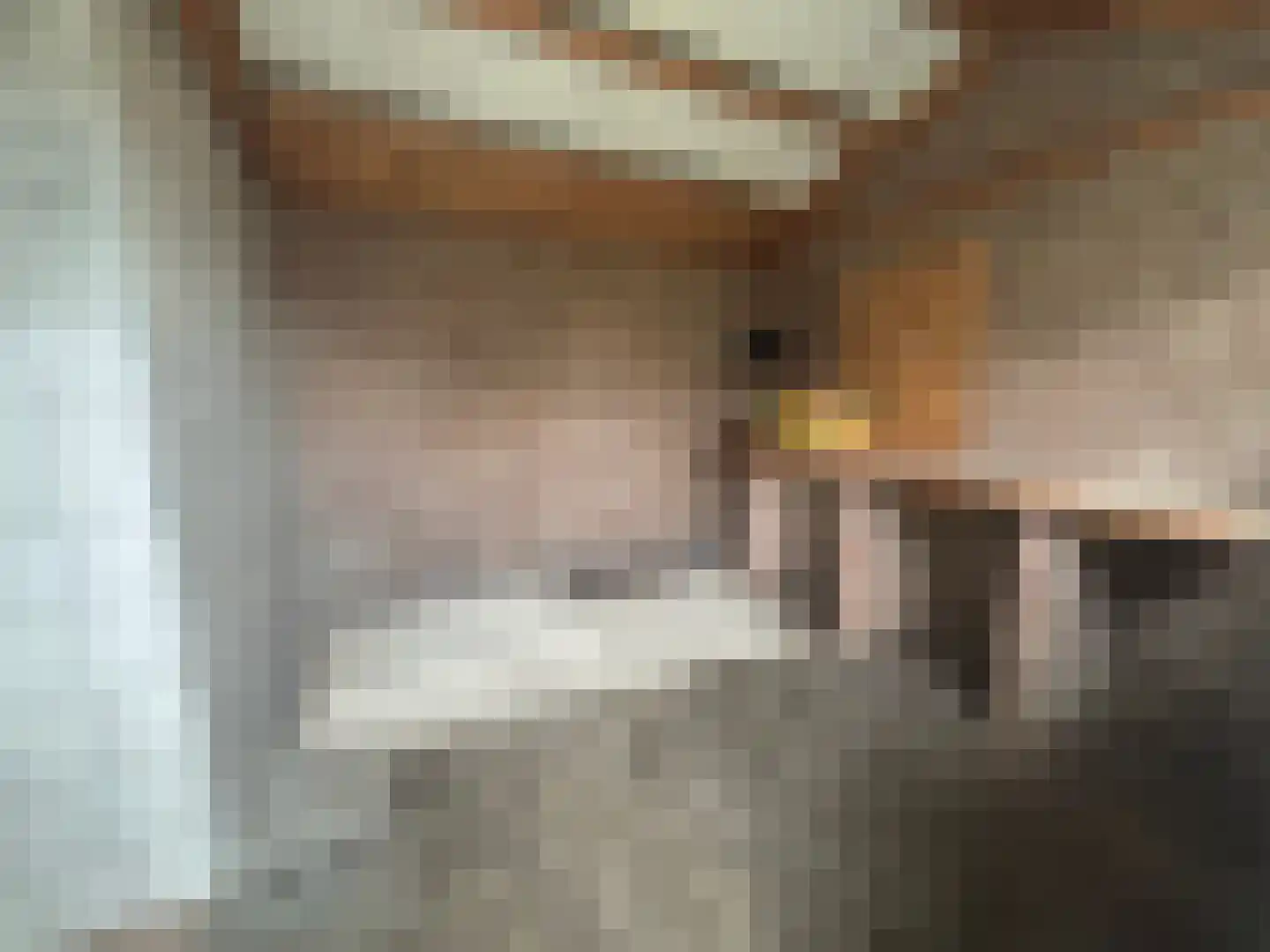 C. de Leeuwstraat 6 't Zand thumbnail 11