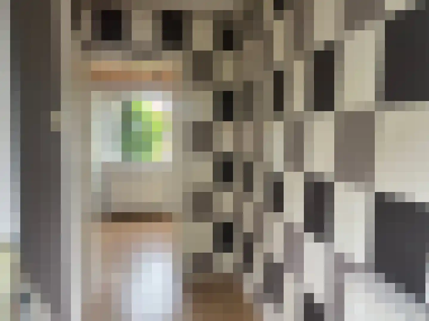 C. de Leeuwstraat 6 't Zand thumbnail 12