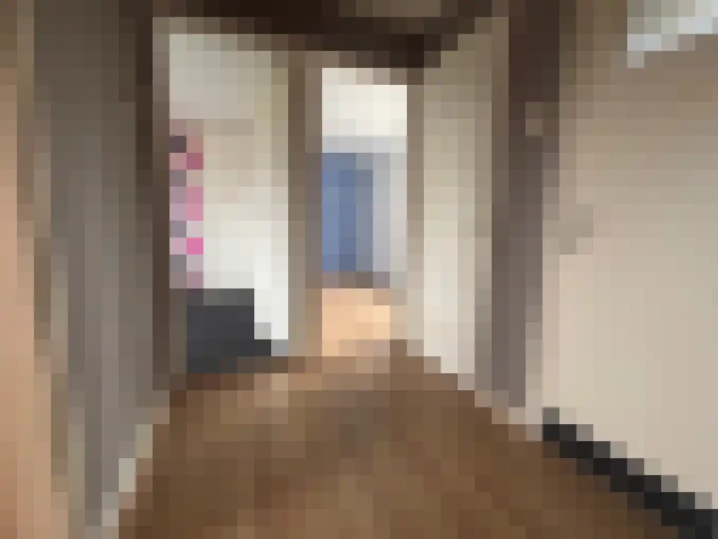 C. de Leeuwstraat 6 't Zand thumbnail 13