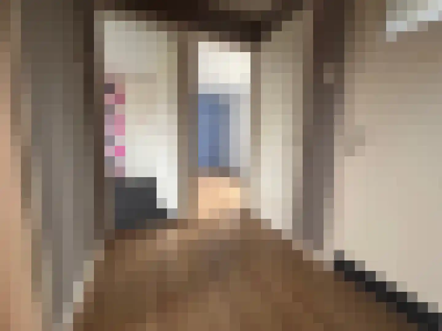 C. de Leeuwstraat 6 't Zand thumbnail 17