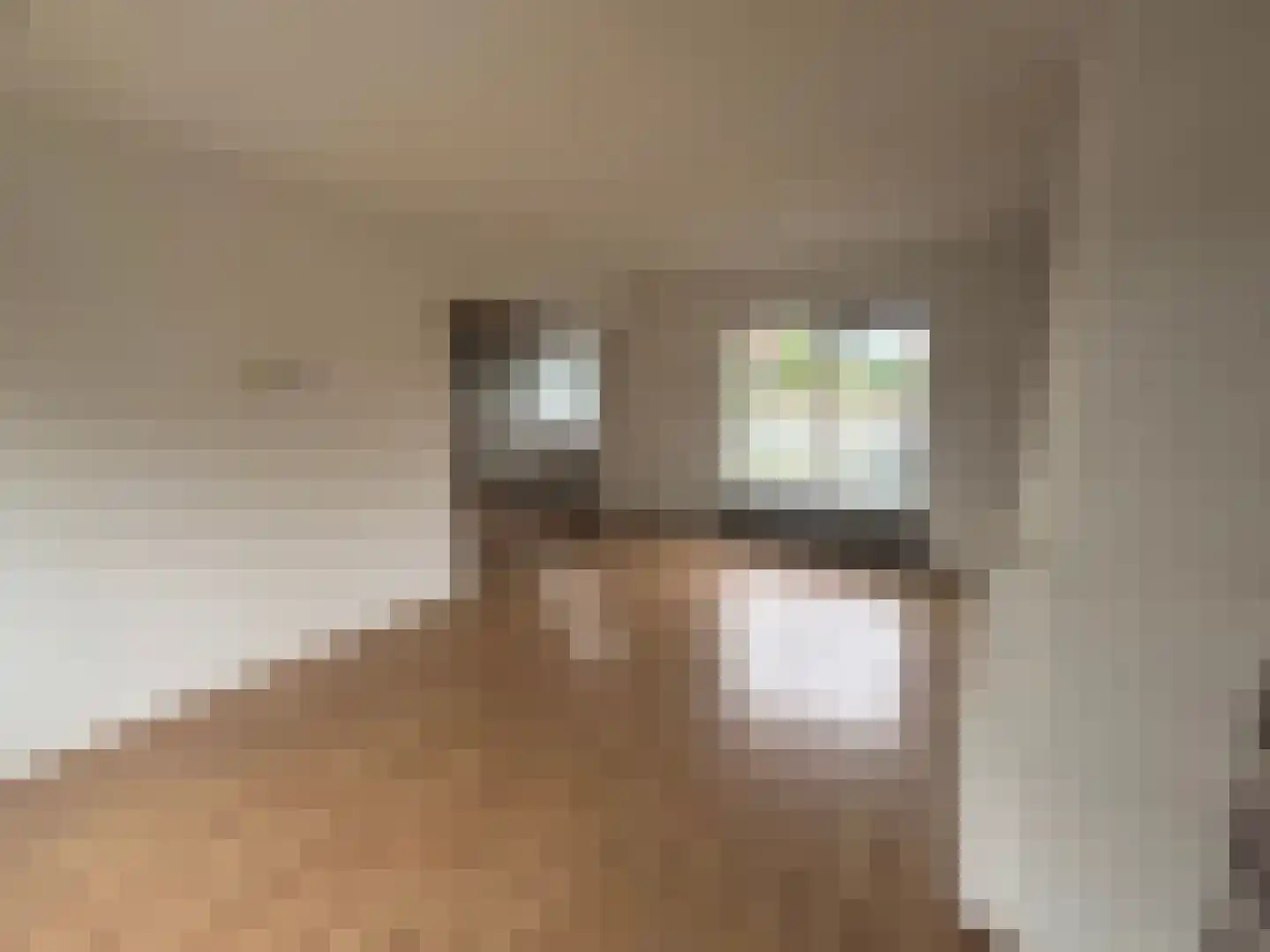 C. de Leeuwstraat 6 't Zand thumbnail 4