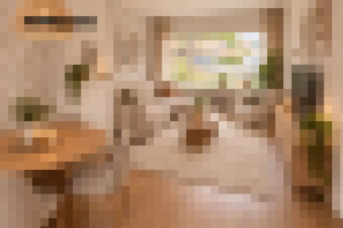 C. de Leeuwstraat 6 't Zand thumbnail 5
