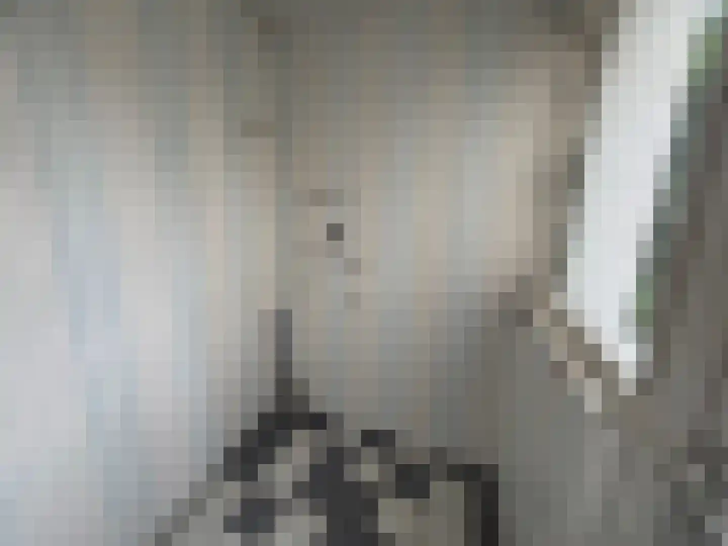 C. de Leeuwstraat 6 't Zand thumbnail 6