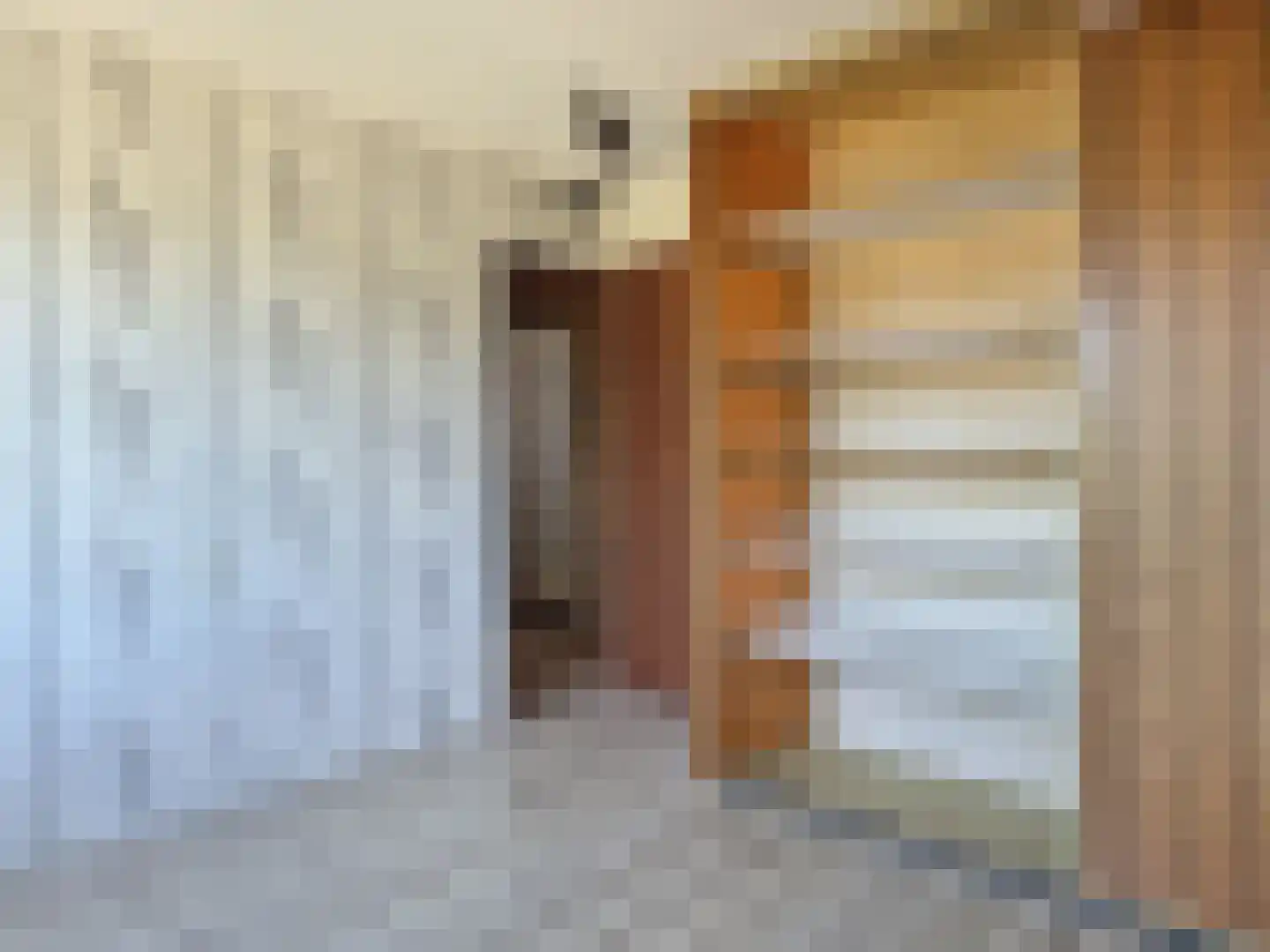 C. de Leeuwstraat 7 't Zand thumbnail 20