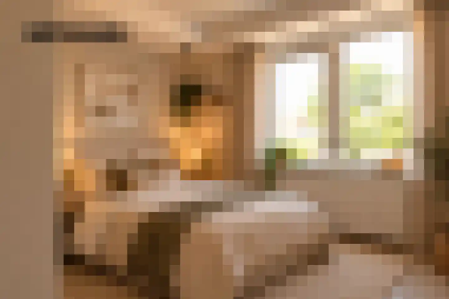 C. de Leeuwstraat 7 't Zand thumbnail 24