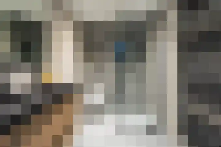 C. de Vosstraat 7 Boskoop thumbnail 21