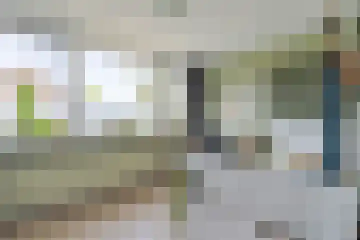 C. de Vosstraat 7 Boskoop thumbnail 23