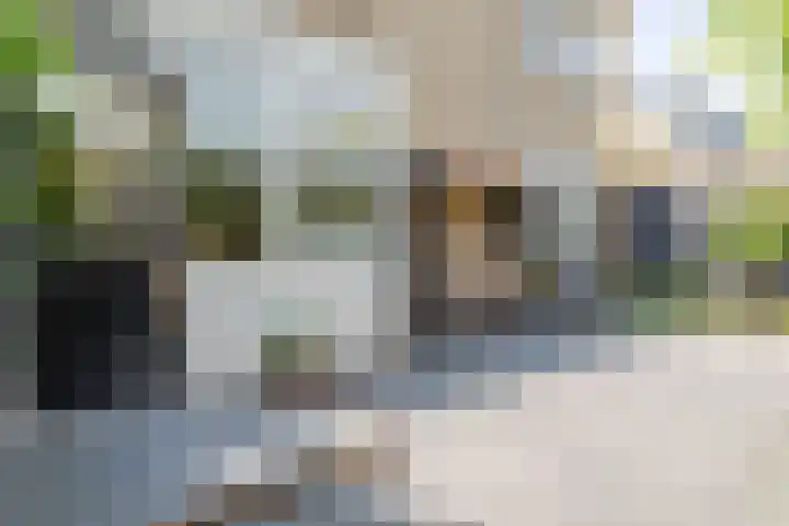 C. de Vosstraat 7 Boskoop thumbnail 33