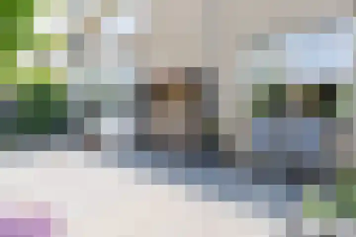 C. de Vosstraat 7 Boskoop thumbnail 5