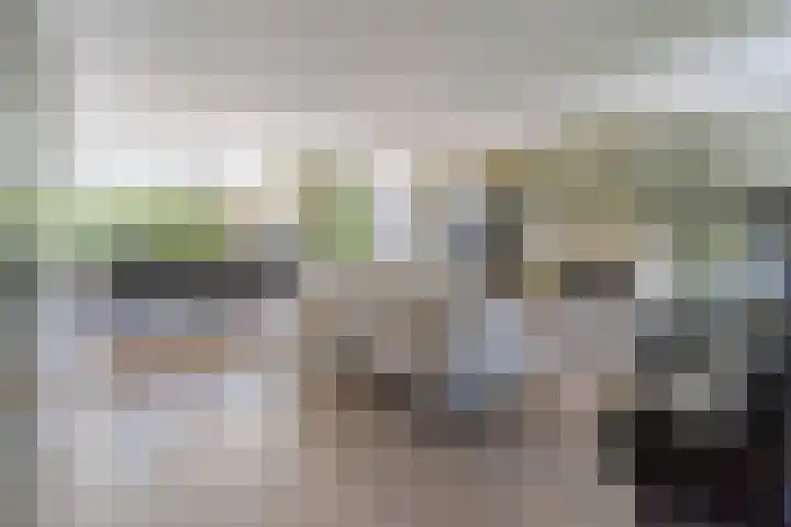 C. de Vosstraat 7 Boskoop thumbnail 6