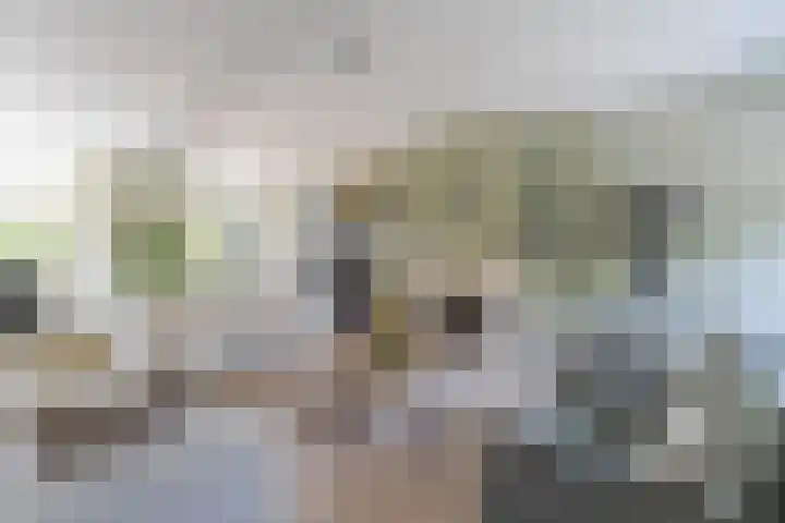 C. de Vosstraat 7 Boskoop thumbnail 8