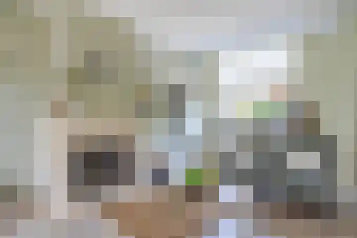 C. de Vosstraat 7 Boskoop thumbnail 9