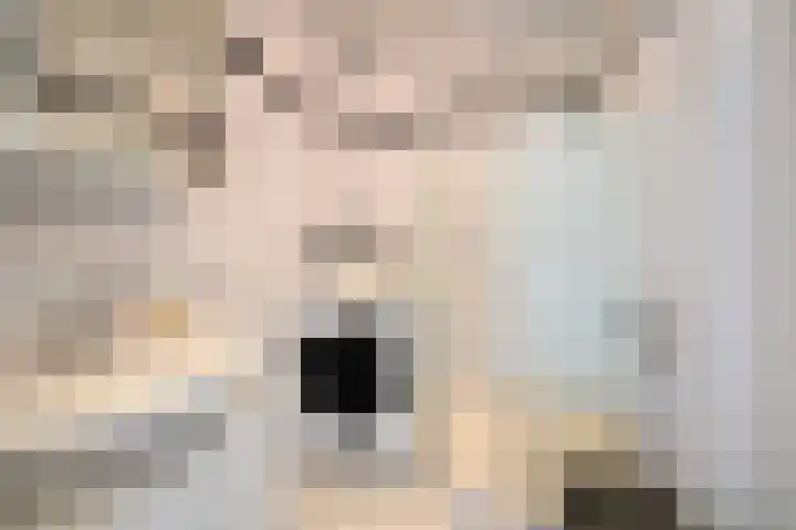 C. Evertsenstraat 111 Hilversum thumbnail 12