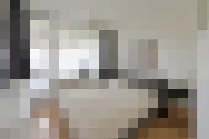 C. Evertsenstraat 111 Hilversum thumbnail 7
