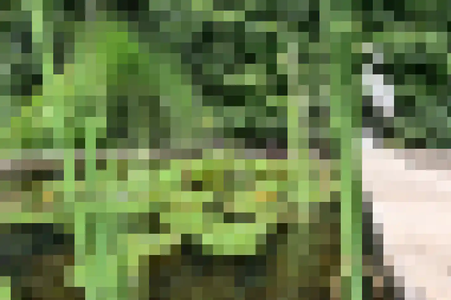 C. Evertsenstraat 2 Hilversum thumbnail 15