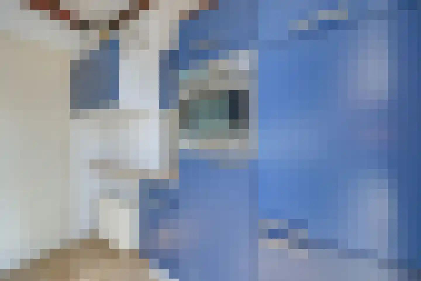 C. Evertsenstraat 29 Hilversum thumbnail 13