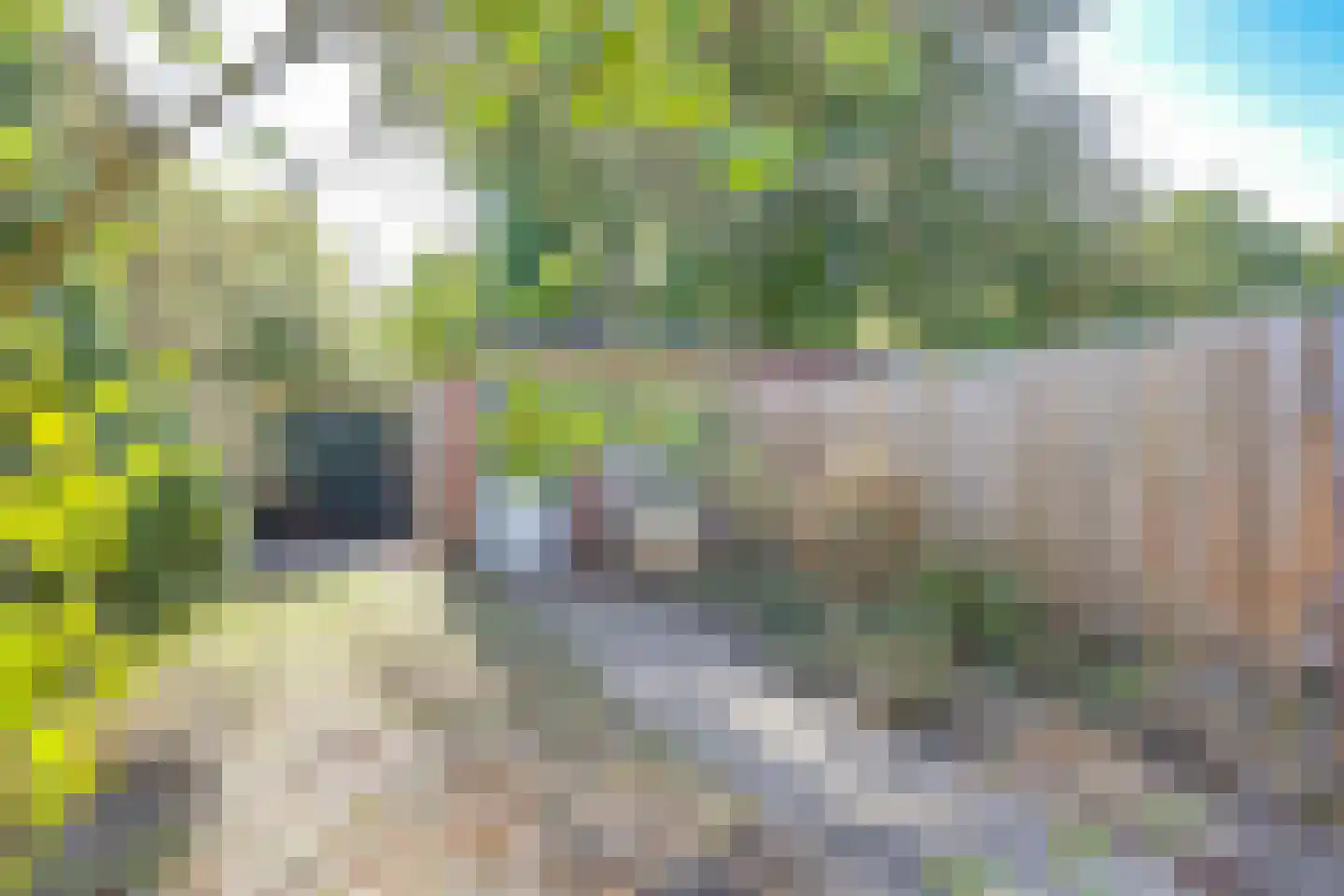 C. Evertsenstraat 29 Hilversum thumbnail 20