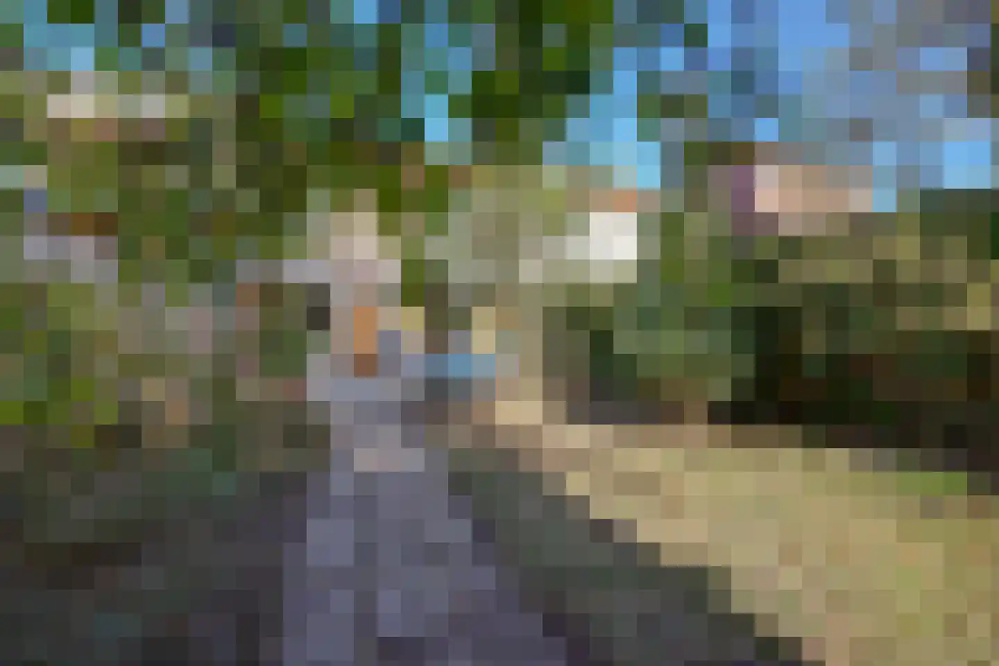 C. Evertsenstraat 29 Hilversum thumbnail 23