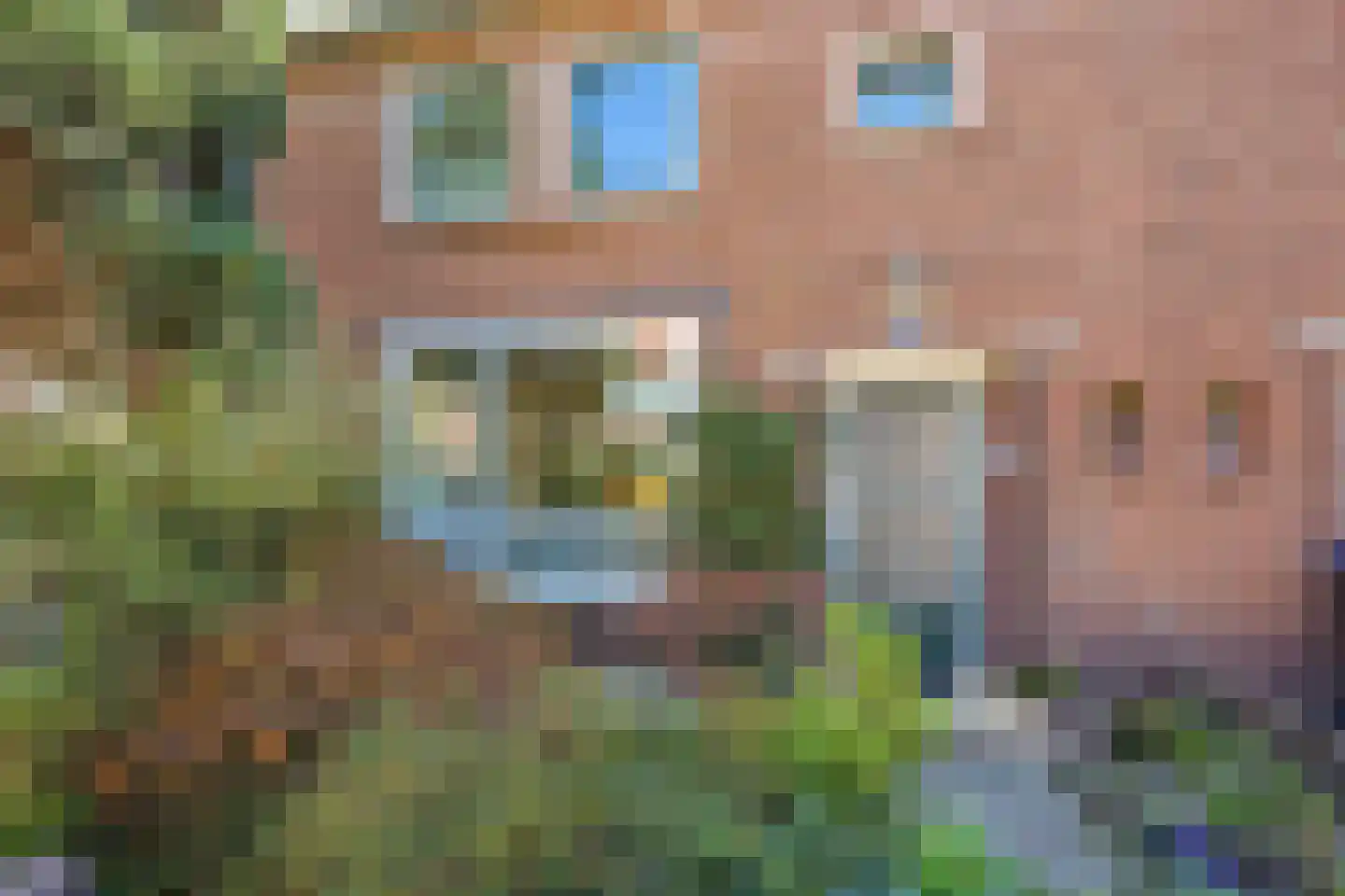 C. Evertsenstraat 29 Hilversum thumbnail 48