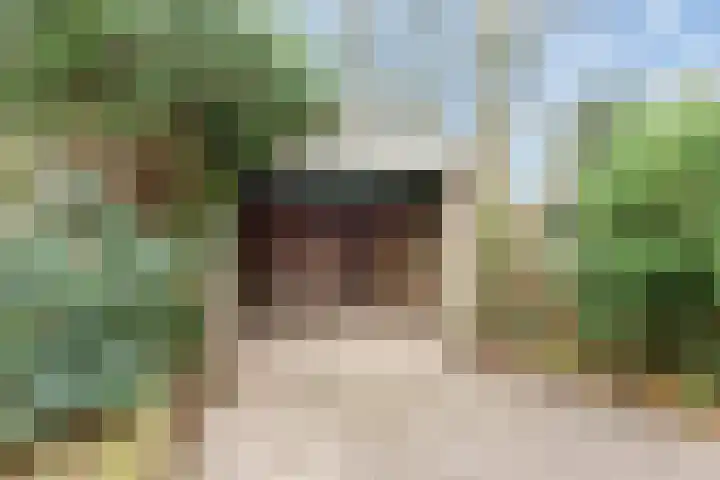 C. Evertsenstraat 51 Hilversum thumbnail 22