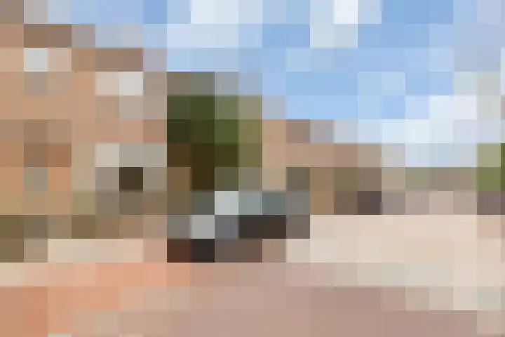 C. Evertsenstraat 51 Hilversum thumbnail 23