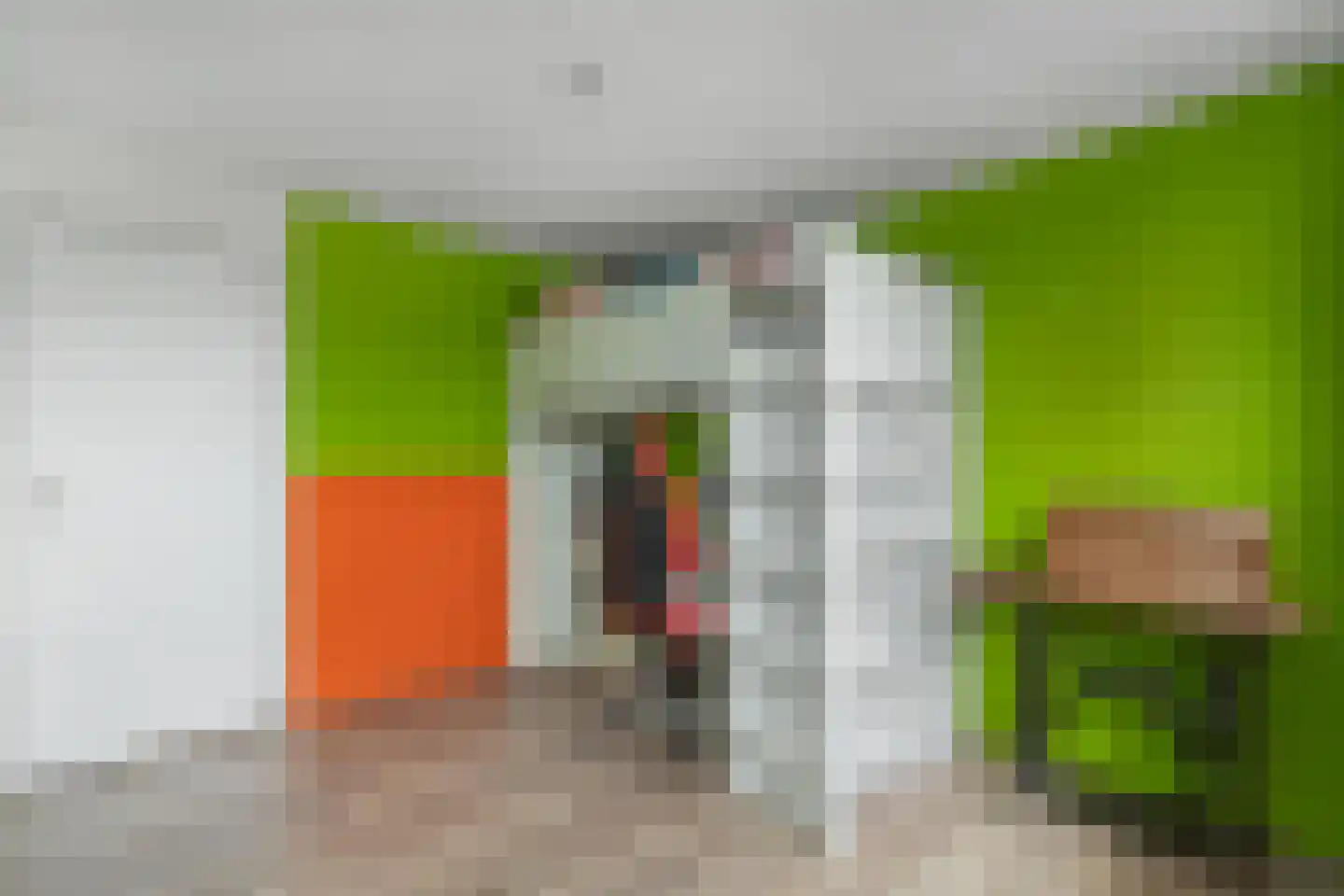 C F Engelhardstraat 17 Franeker thumbnail 33