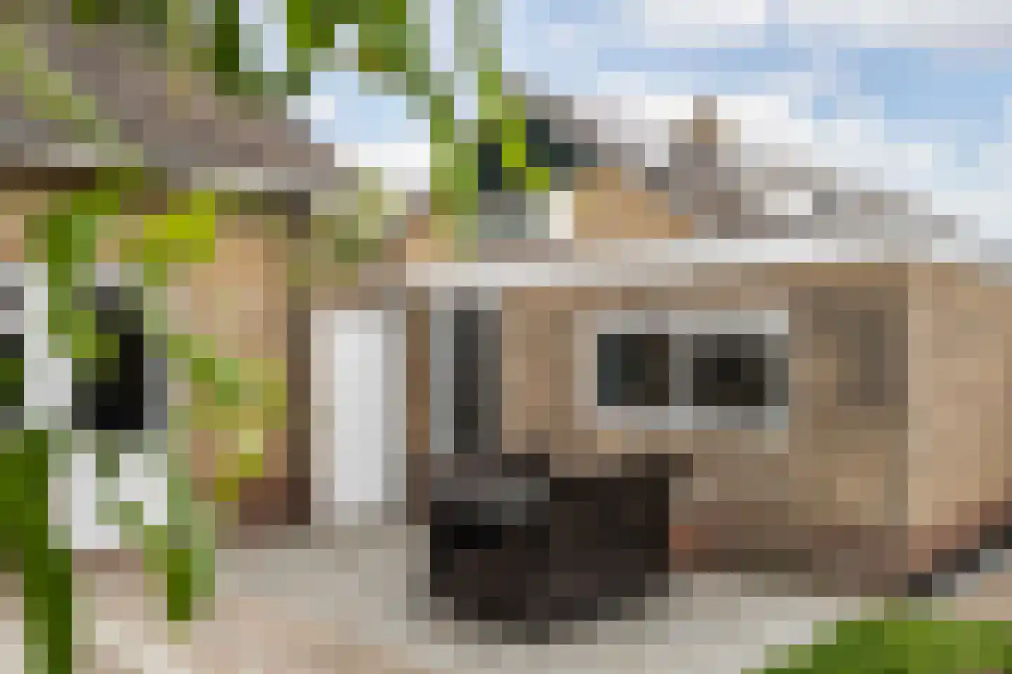 C F Engelhardstraat 17 Franeker thumbnail 38