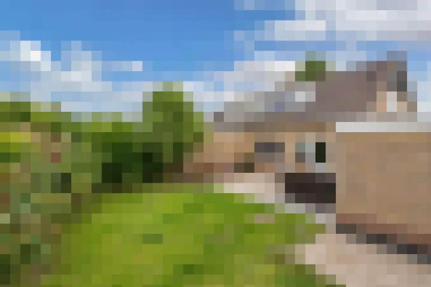 C F Engelhardstraat 17 Franeker thumbnail 45