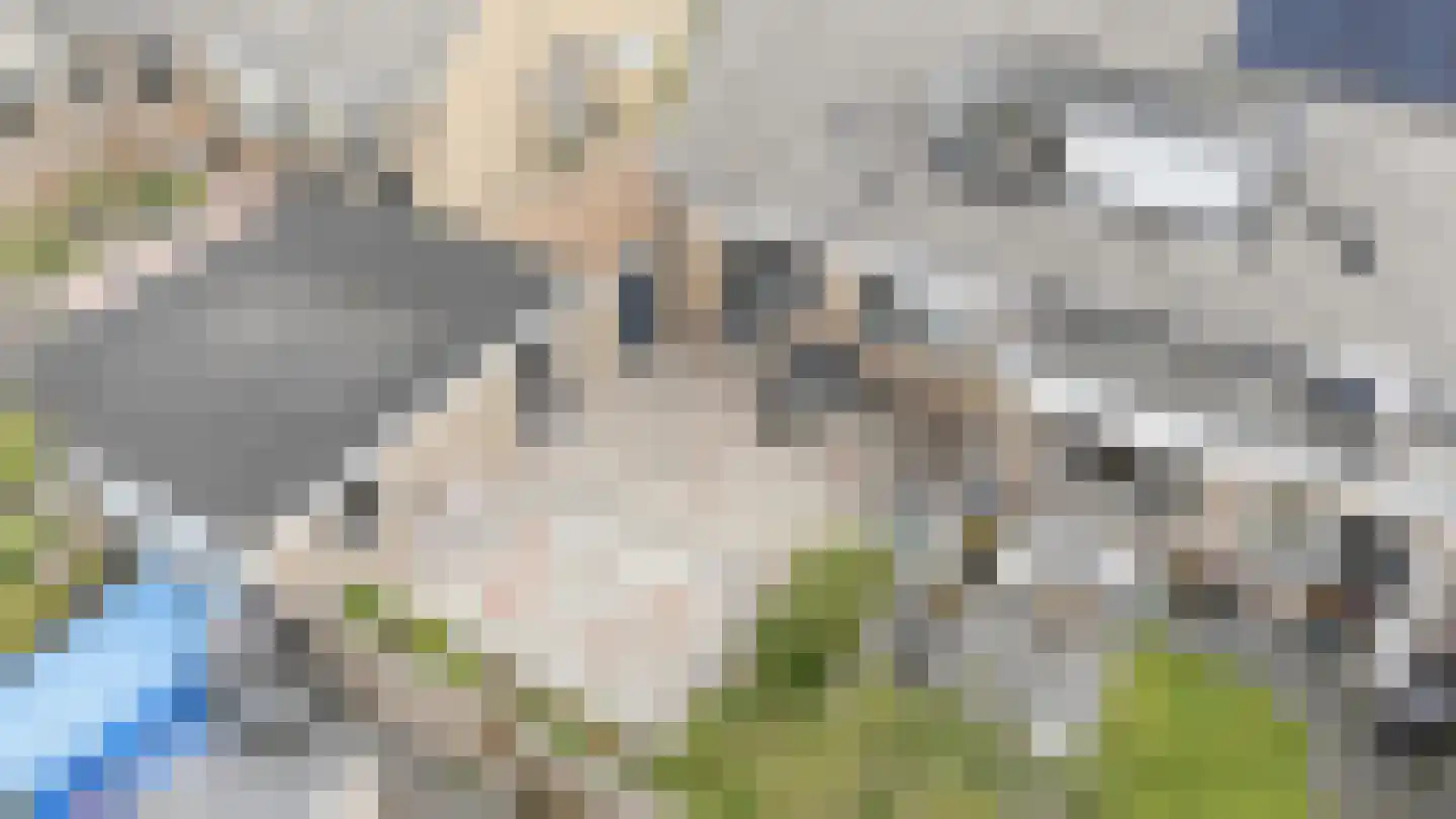 C F Engelhardstraat 29 Franeker thumbnail 35