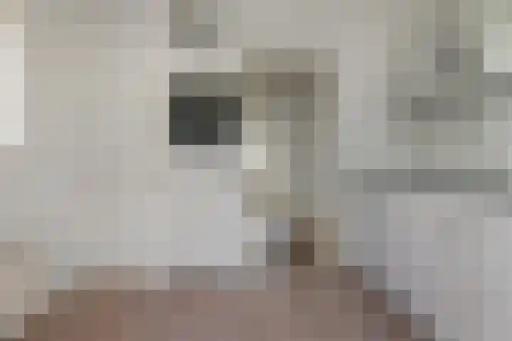 C F Engelhardstraat 33 Franeker thumbnail 11