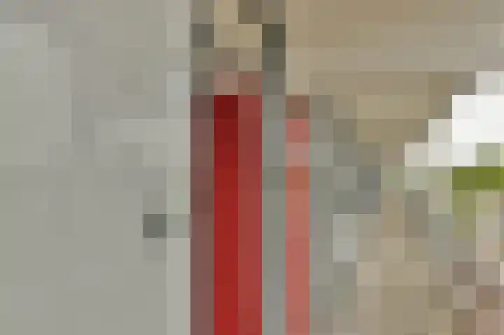 C.F. Smeetslaan 100 Castricum thumbnail 17