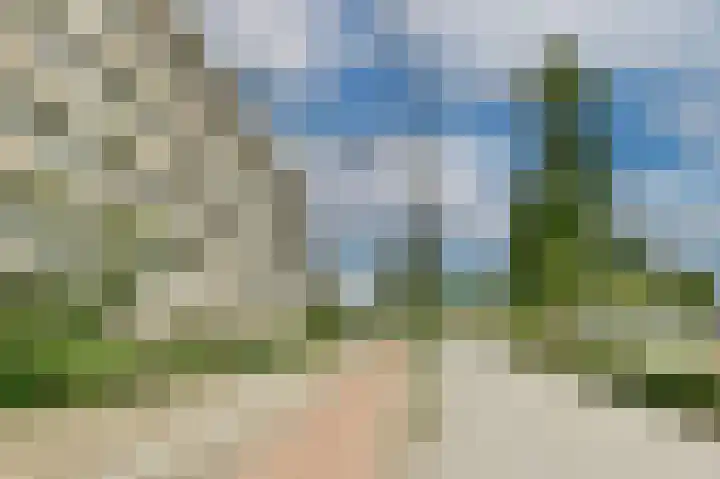 C.F. Smeetslaan 100 Castricum thumbnail 23