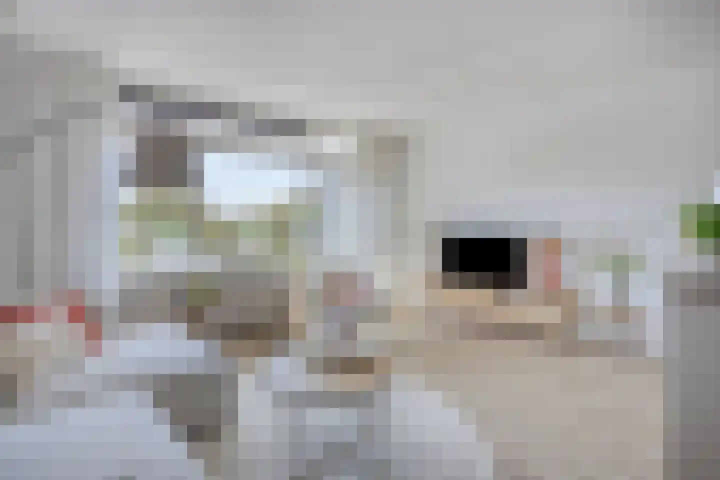 C.F. Smeetslaan 108 Castricum thumbnail 10