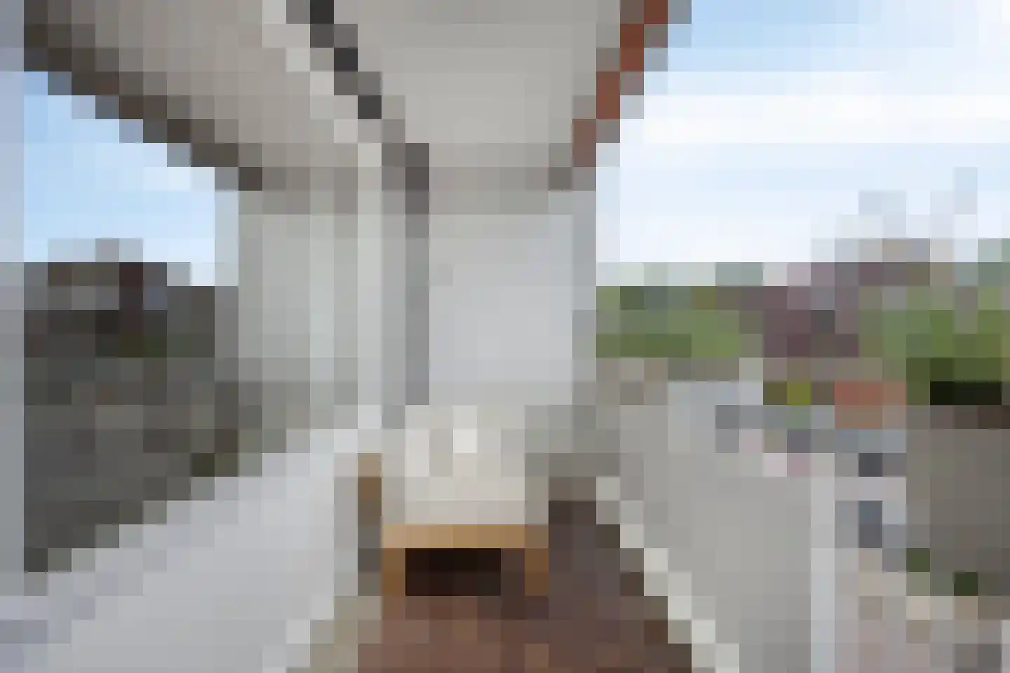 C.F. Smeetslaan 108 Castricum thumbnail 14